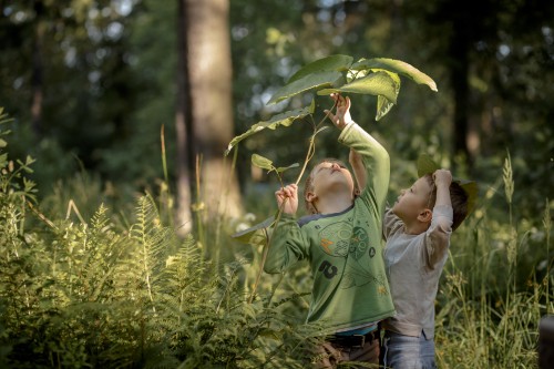 Kinder spielen frei im Wald
